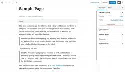 Gutenberg Editor (New Blocks Editor)