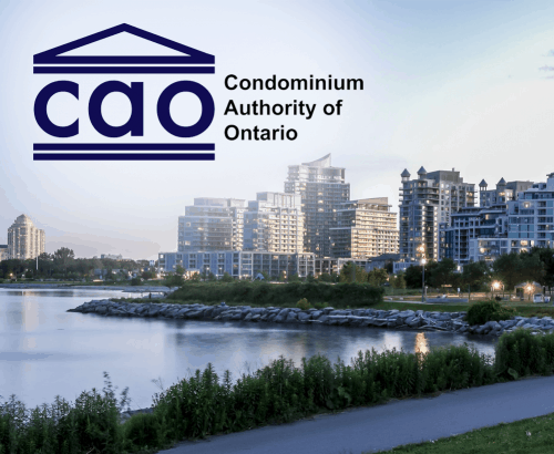 Condominium Authority of Ontario - Toronto Web Design