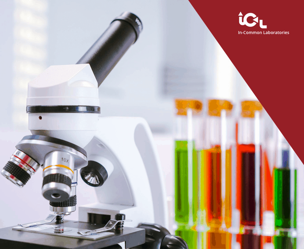 In-common Laboratories - Custom Toronto Web Design