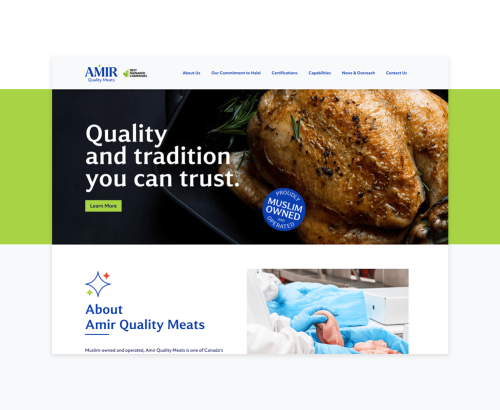 Amir - Custom website for food