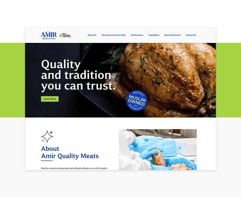 Amir - Custom website for food